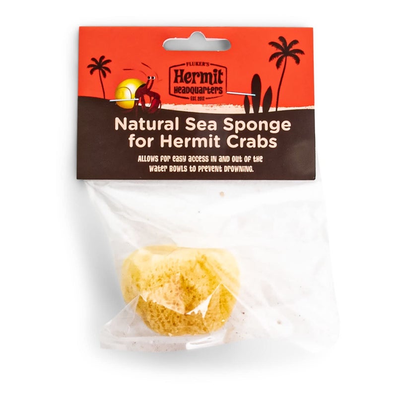 Fluker's Natural Sea Sponge for Hermit Crabs - Image 1